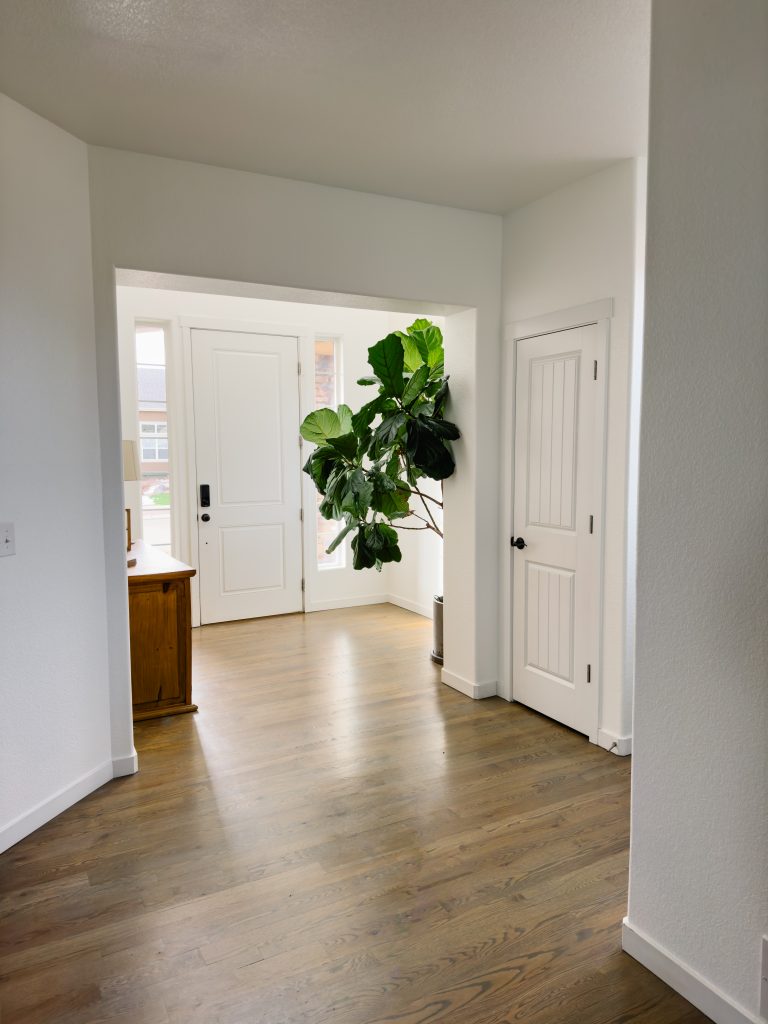 home remodeling