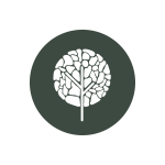 southern mesa landscaping