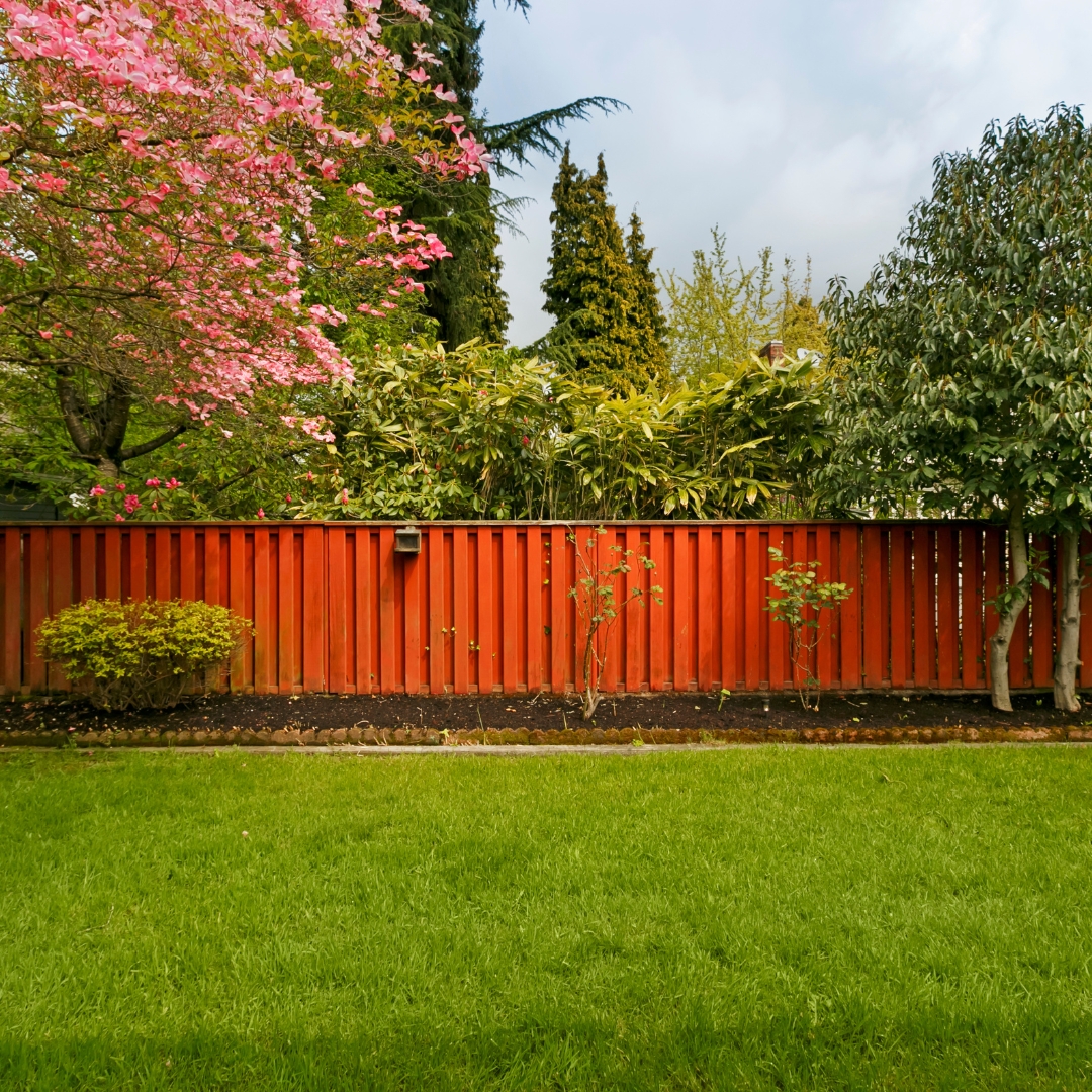 fence staining professional Colorado Springs