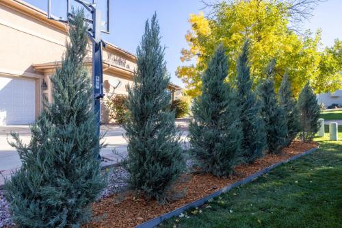 Trees-mulch-beds-lawn-sod-Deergrass